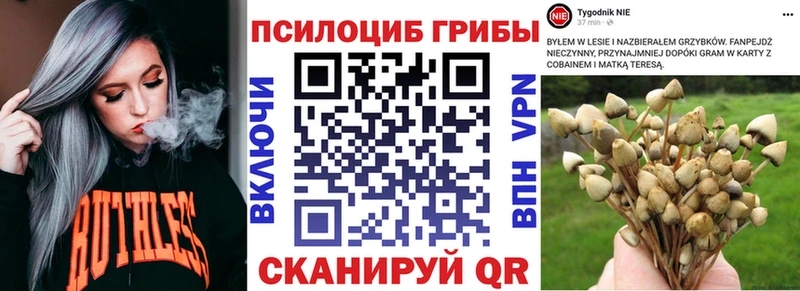 ссылка на мегу вход  Югорск  darknet наркотические препараты  Псилоцибиновые грибы Cubensis 